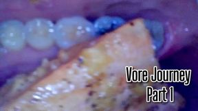 The Tiny Man Adventure from mouth all the way through his Giantess’s digestive tract! Part 1 of 2