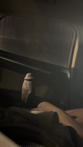Got My Dick All Out Inna Backseat Just Playing With Dat Motherfucker Lol