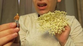 Giantess Sneezing Allergy Reaction Story