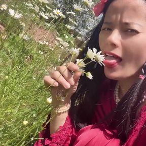 Piss for Gardend on the Grass Beautifull