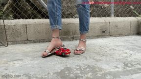 Cars330