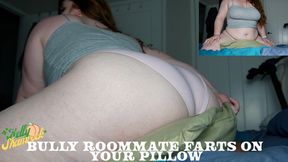 Bully Roommate Farts On Your Pillow