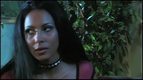 shay sweet dasha lesbian threesome titfuck blowjob
