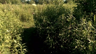 Mit meiner immer geilen und extrem nassen Blondiene in der Natur am FKK gespielt und gefickt