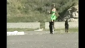 Hard Pounding for the Queen