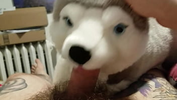 Blowjob from my plushie husky and finished with a masturbation