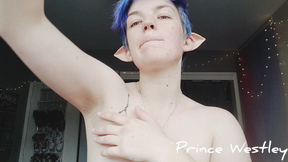 Elf Armpit Worship