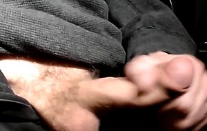 Joeyskunk Jacks off