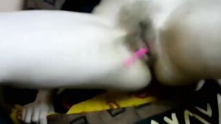 Petite Babe masturbating with her Lush Vibrator