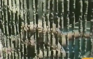 Danish Peepshow Loops 337 70s and 80s - Scene 3