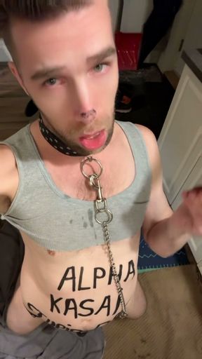 Dog for Alpha Master   Clip 1