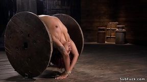 Redhead ebony in hogtie pussy toyed