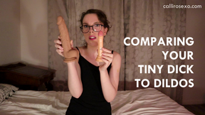 Mean Girlfriend Compares Your Dick To Her Dildos