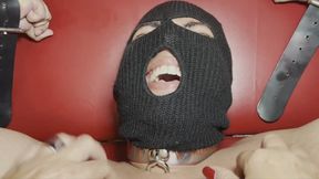 Valentina se divertindo cocegas com dois capachos