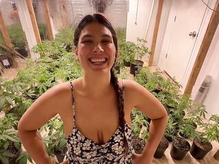 Greenhouse Gawk – POV BJ in the Grow