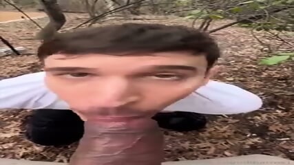 Outdoor Spring Sex