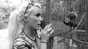 Brazzers: Debauchery Down South
