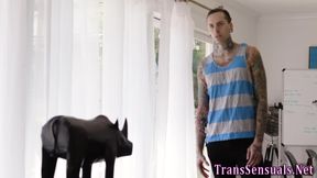 Passionate ts babe with little boobs sucks