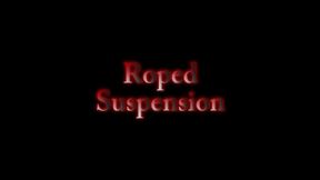 Roped Suspension 1