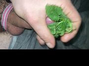 Urethral penetration nettles penis masturbation peehole insertion