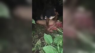 Jungle sex