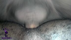 Black Breeders 113