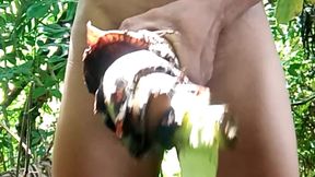The Tight Hole of the Banana Tree Is Delicious