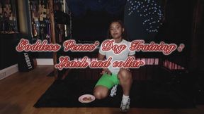 Basic Human Dog Training: Leash & Collar Obedience Edition