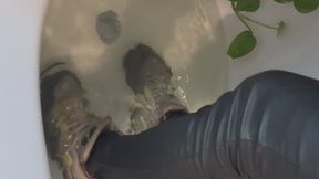 Bath time come watch ?