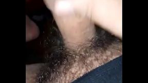 Pajote lechero