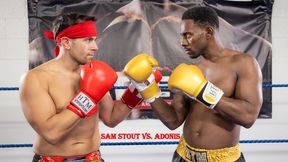 Adonis vs. Sam Stout: Boxing Beatdown