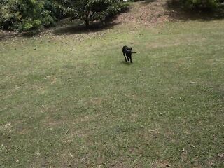 Whore Likes To Get Stripped At The Park And Have a fun Herself When Watched