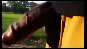 Big Black Cocks Outdoors