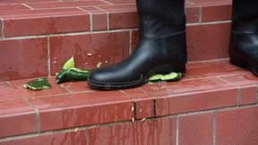 the horny rubber gardener 10 (vegetable stomping + boot care)