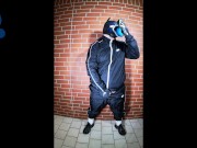 Scally Pup in shiny tracksuit pawing off and sniffing