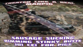 sausage sucking rimming stinky butts joi cei for pigs by goddess lana xvideos