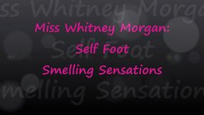 Whitney Morgan: Gagged Self Foot Smelling Sensations - FULL - mp4