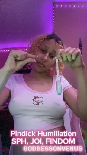 GOONER / SPH FINDOM TEASE