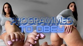 Programmed to Obey