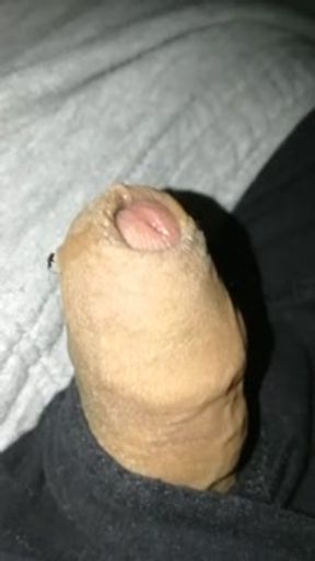 Flaccid precum foreskin play, small growing and shrinking penis play