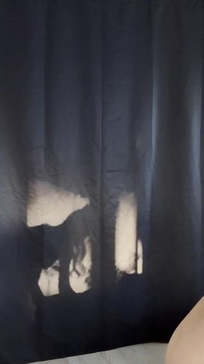 Twn Shein Try on Haul