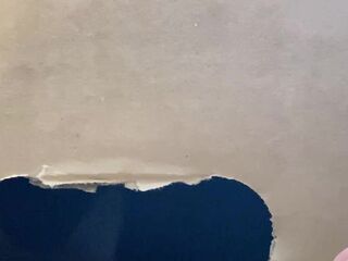 The restrained licks .