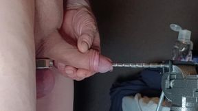 probing, testicle ring, excess, cbt, flaccid cock, man alone, urethra probing, urethra fuck