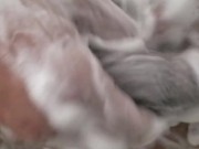 soapy big black cock