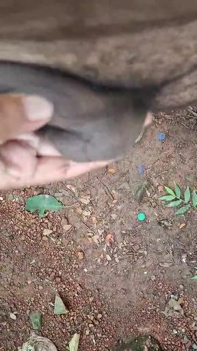 Hard sex by thick Cock..