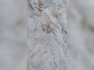 Beach Pissing