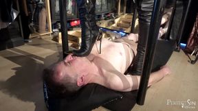 Weedy little creature