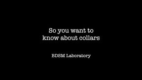 So You Want To Know about Collars