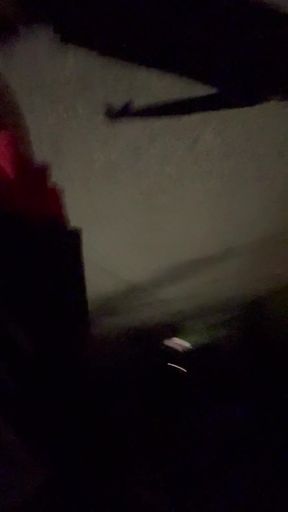 Here I Am, Gentlemen, to Introduce Myself.