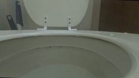 Tiny Human Fred Swimming in Evil Giantess Toilet POV 1080 smaller